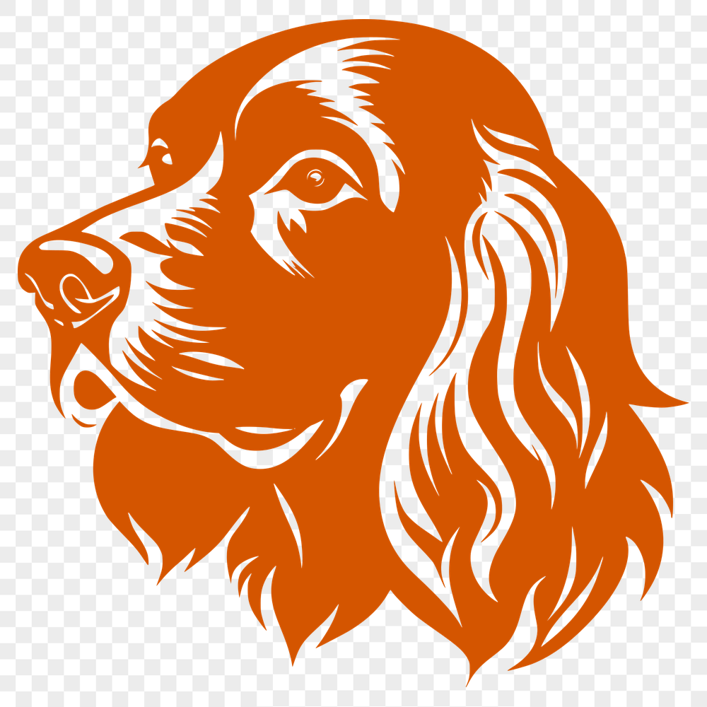 Beautiful Cocker Spaniel Image