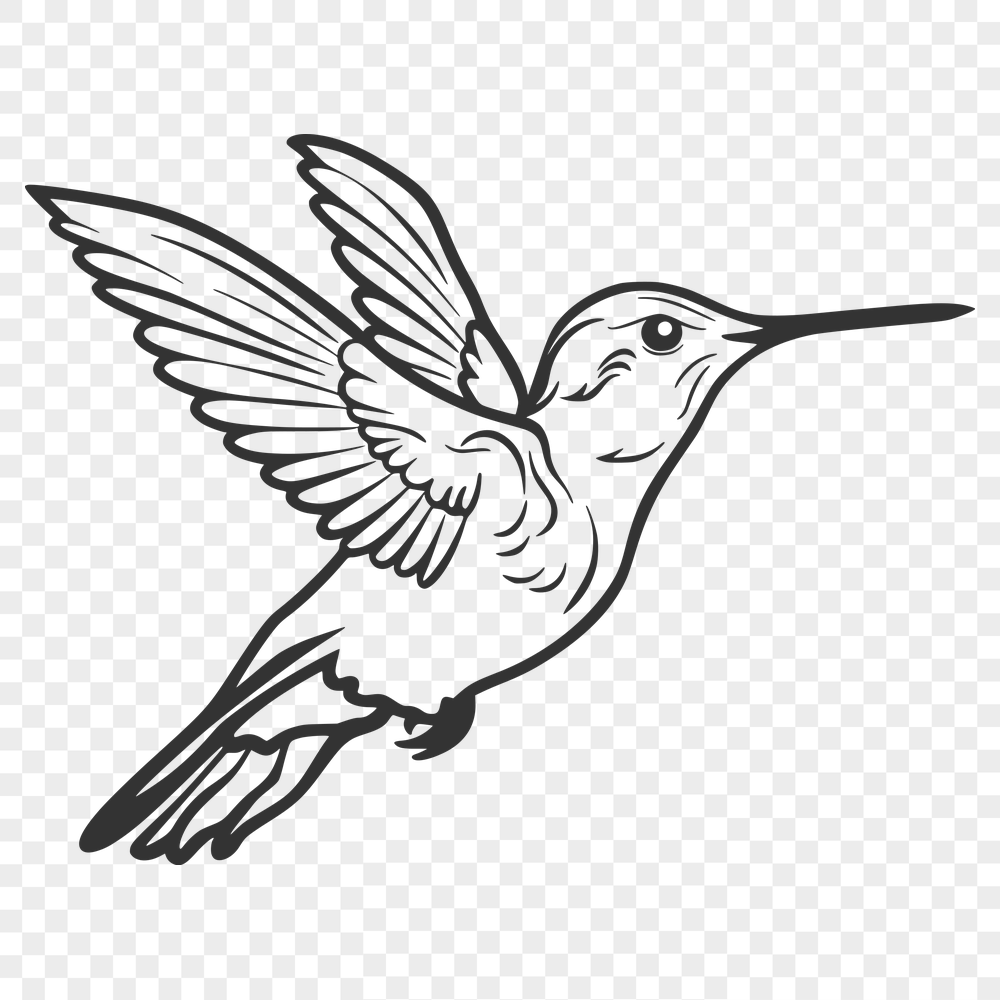 Flying Hummingbird Vector Illustration