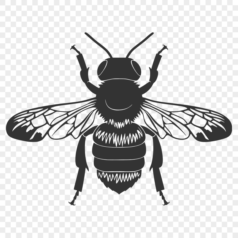 Stunning Bee Vector Craft File