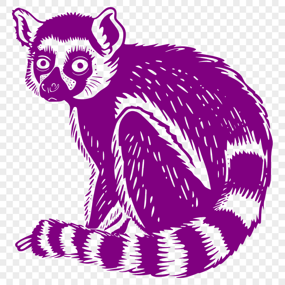 Beautiful Lemur Vector Art