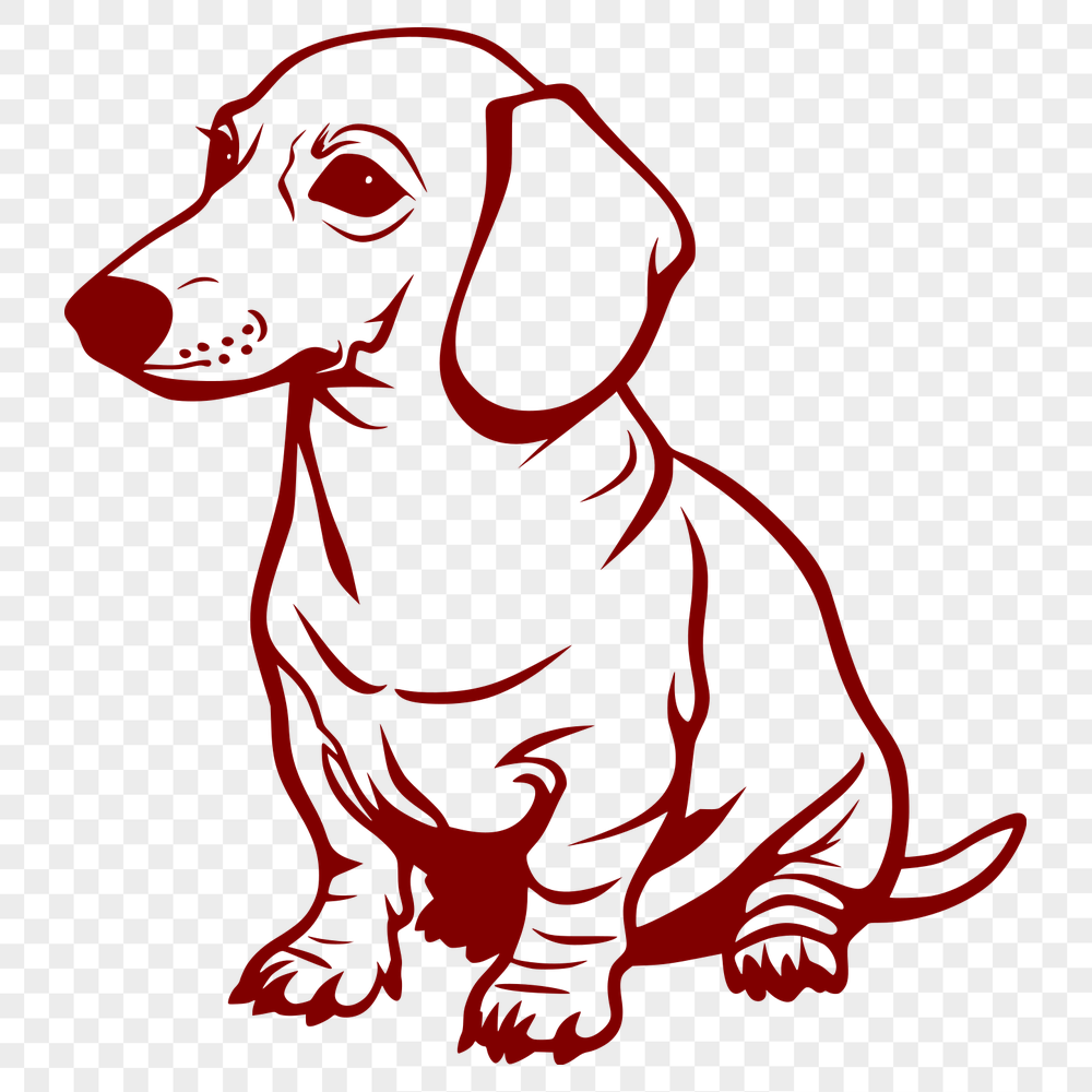 Beautiful Sitting Dachshund Vector Drawing