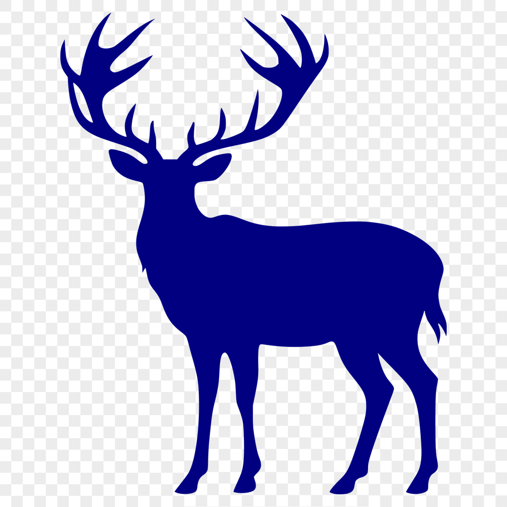 Beautiful Deer Vector Image