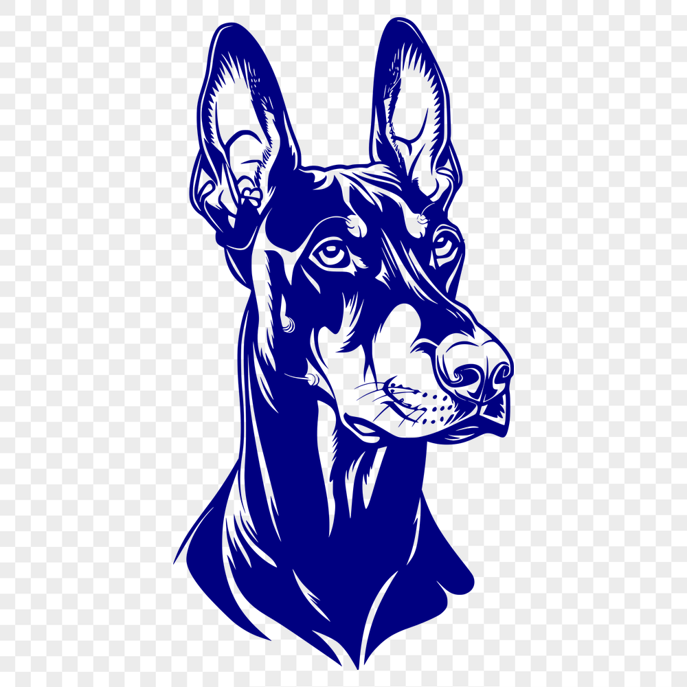 Creative Doberman Pinscher Drawing