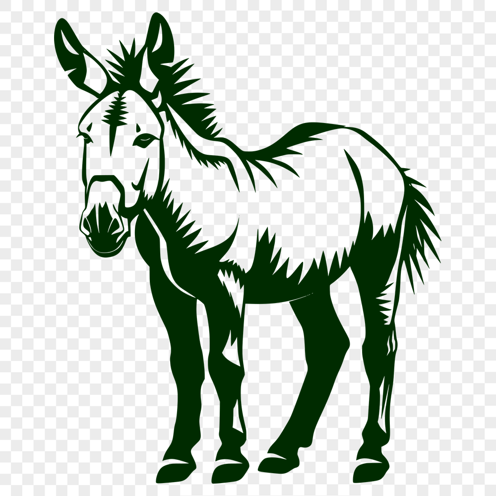 Beautiful Donkey - For Laser Project