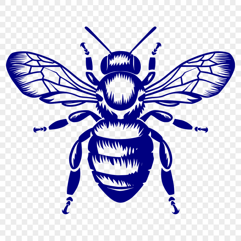 Stunning Bee Printable Image