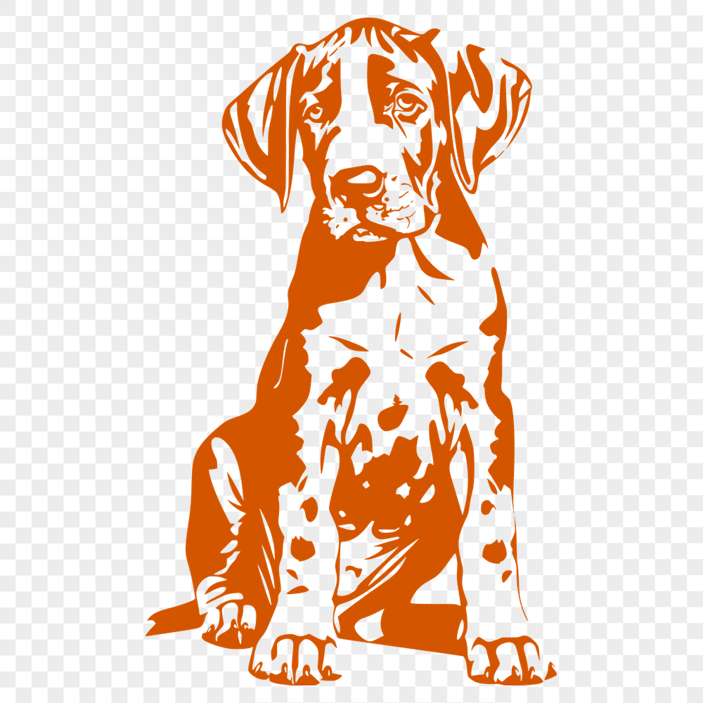 Artistic Sitting Great Dane PNG