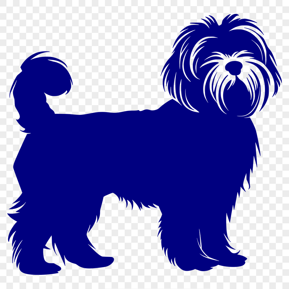 Free Standing Havanese PDF