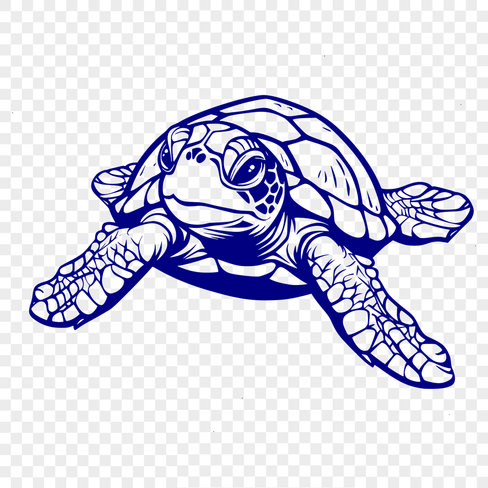 Artistic Sea Turtle In SVG