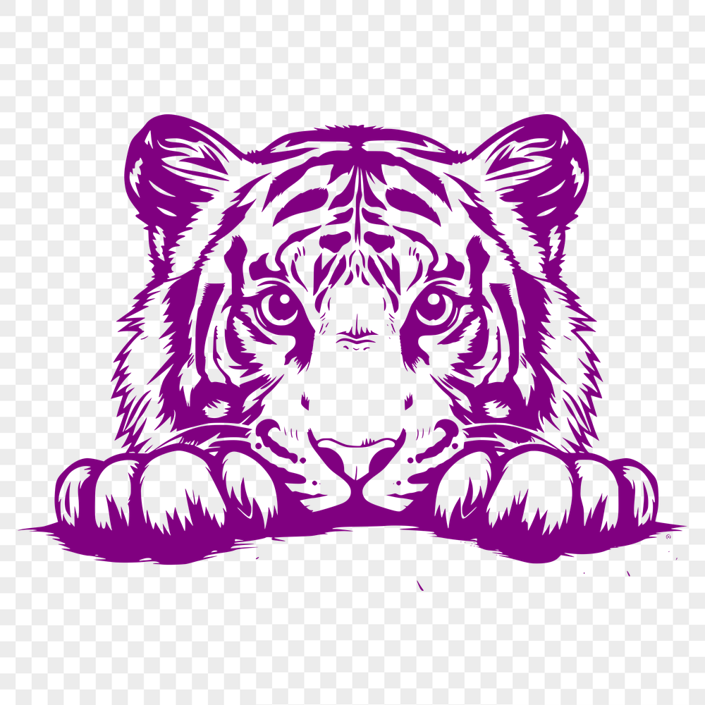 Beautiful Peeking Big Cat PNG