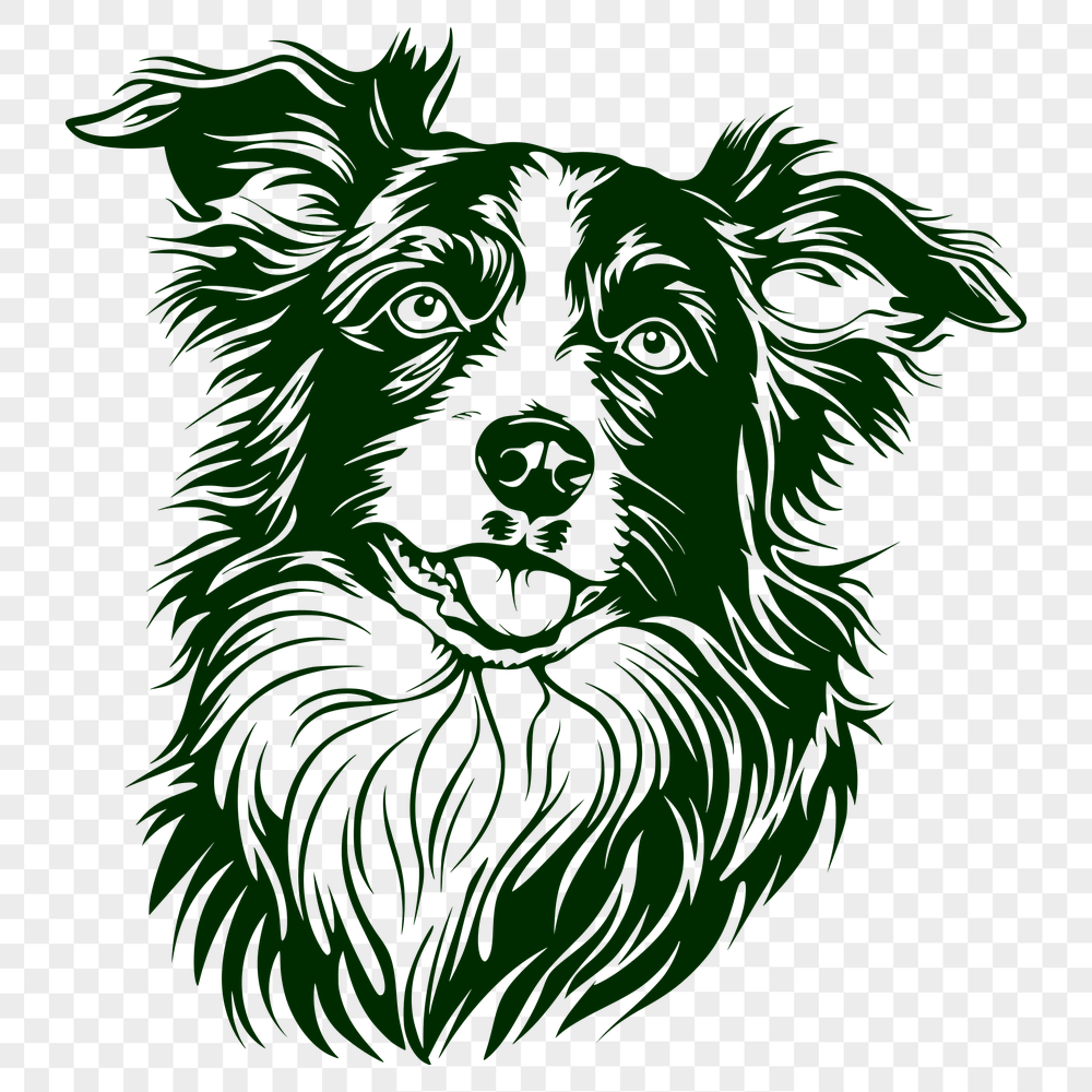 Unique Australian Shepherd - For Vinyl Project