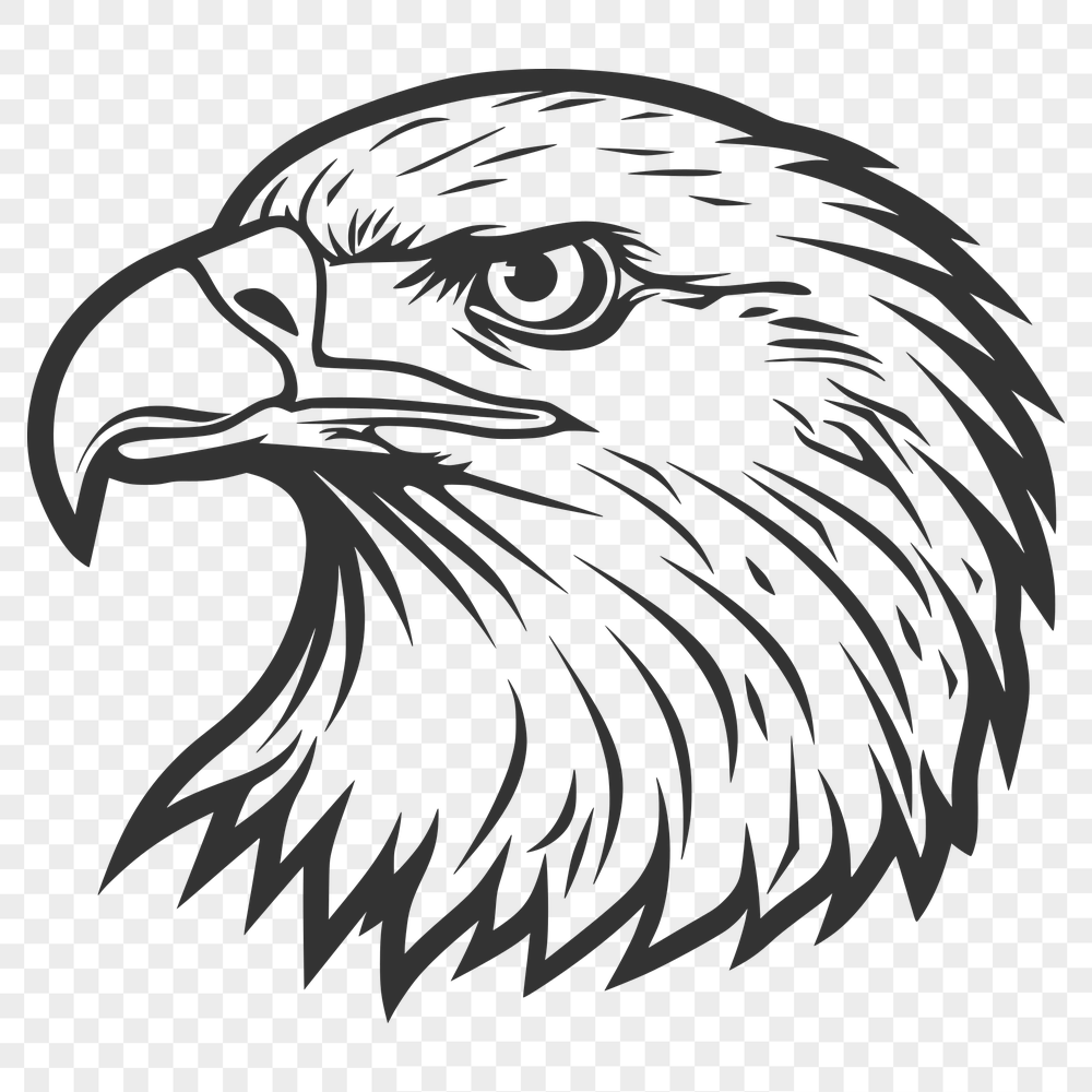 Beautiful Eagle Vector Craft File