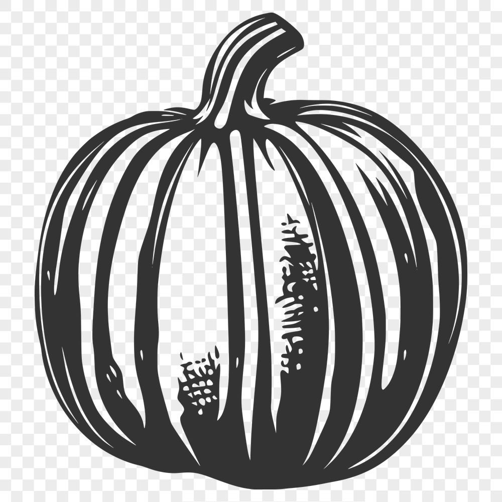 Artistic Squash SVG, PNG, PDF And DXF Files