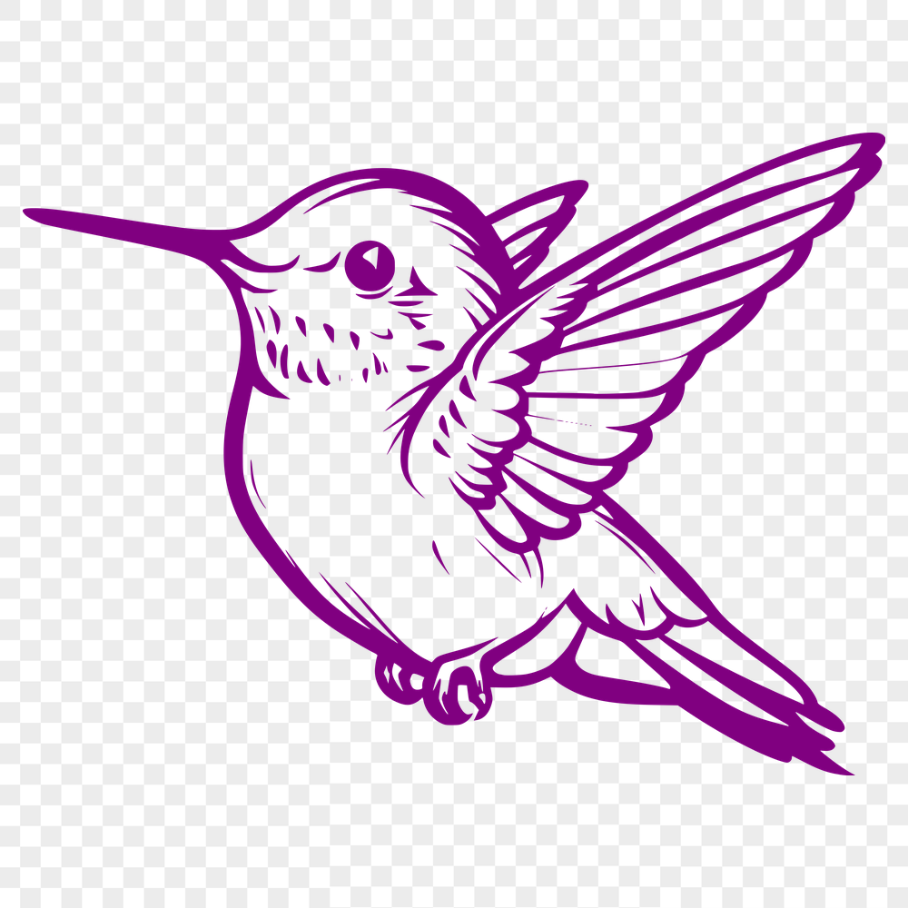 Free Flying Hummingbird Drawing