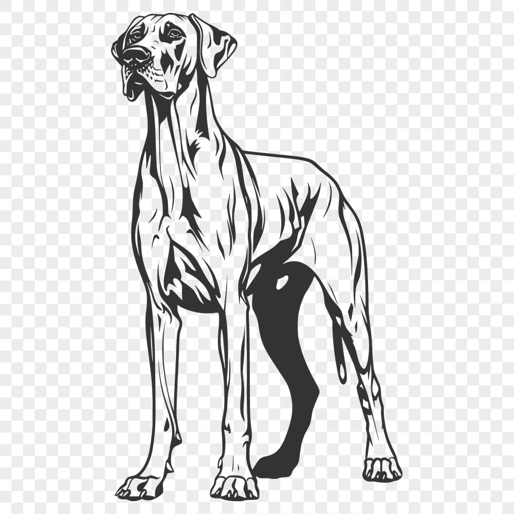 Artistic Great Dane SVG