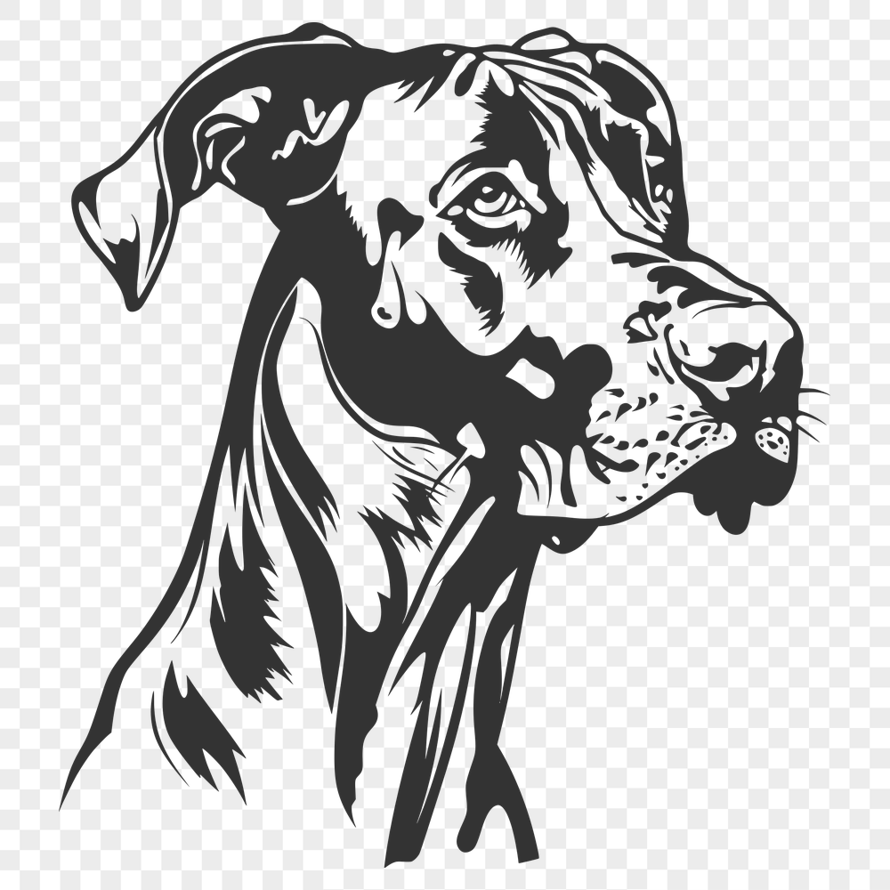 Artistic Great Dane Illustration