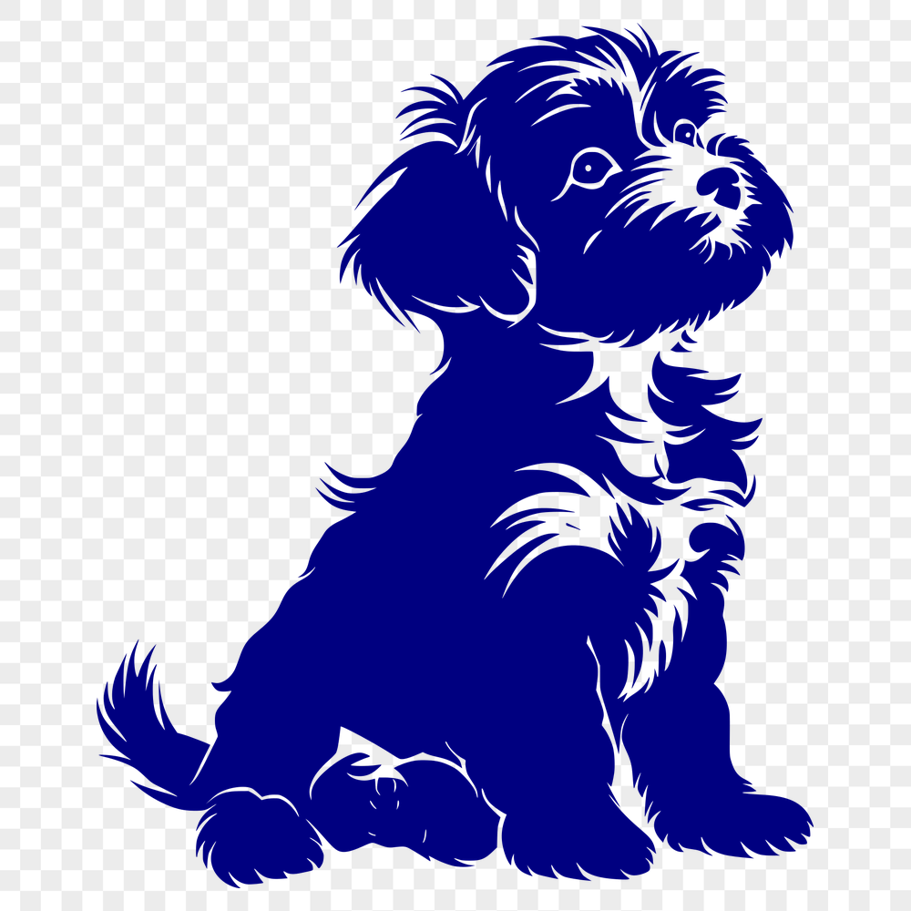 Sitting Havanese - PDF