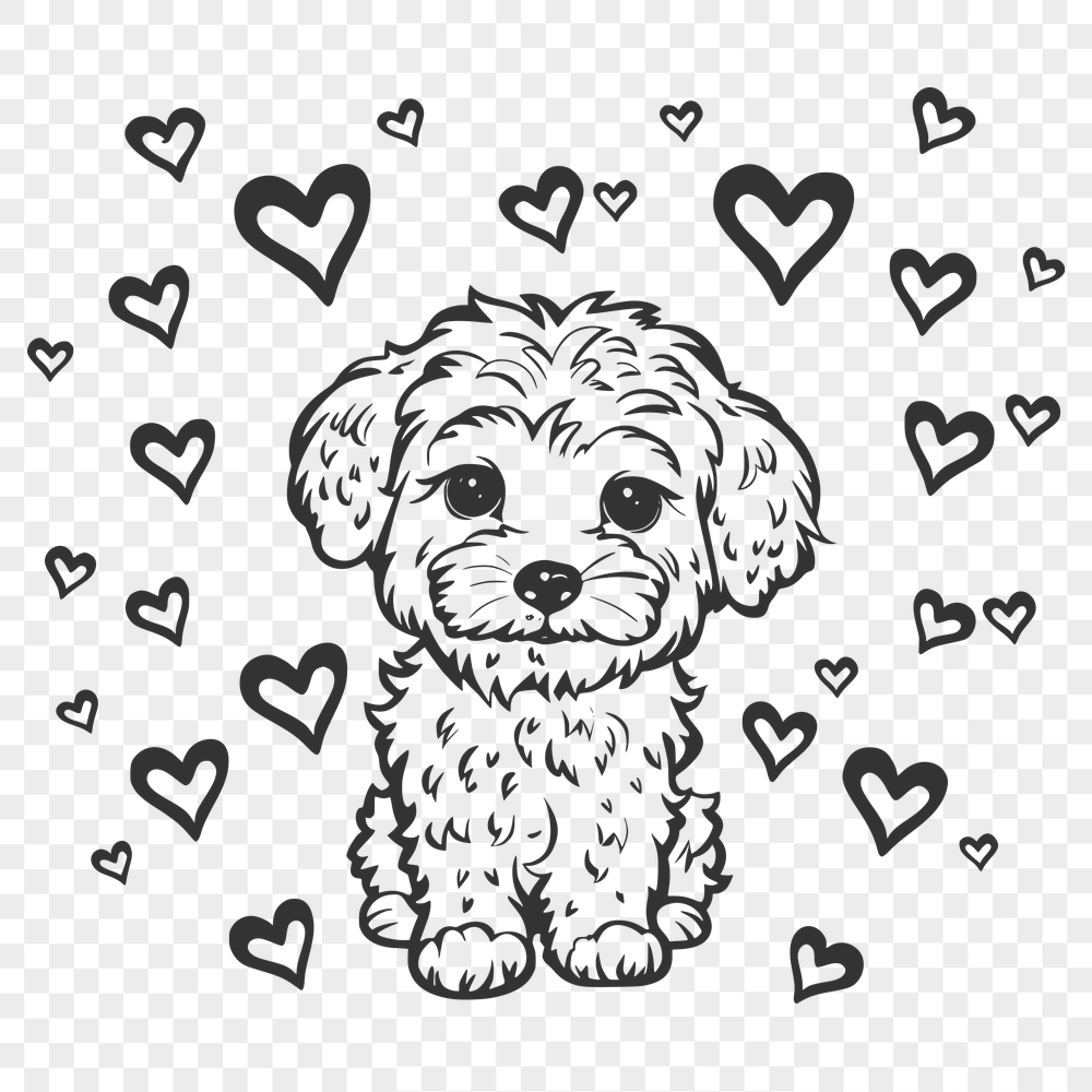 Sitting Havanese Template