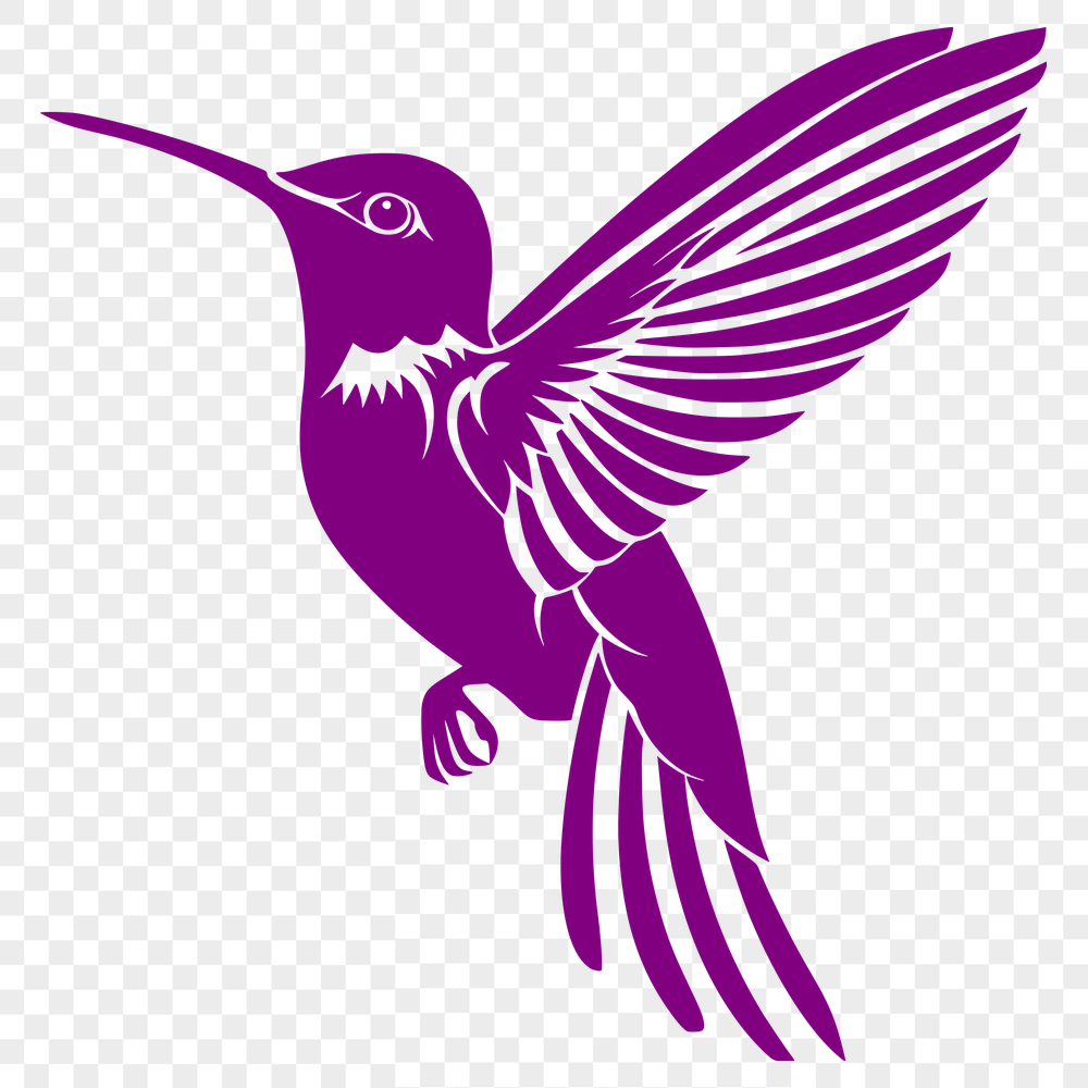 Creative Flying Hummingbird PNG