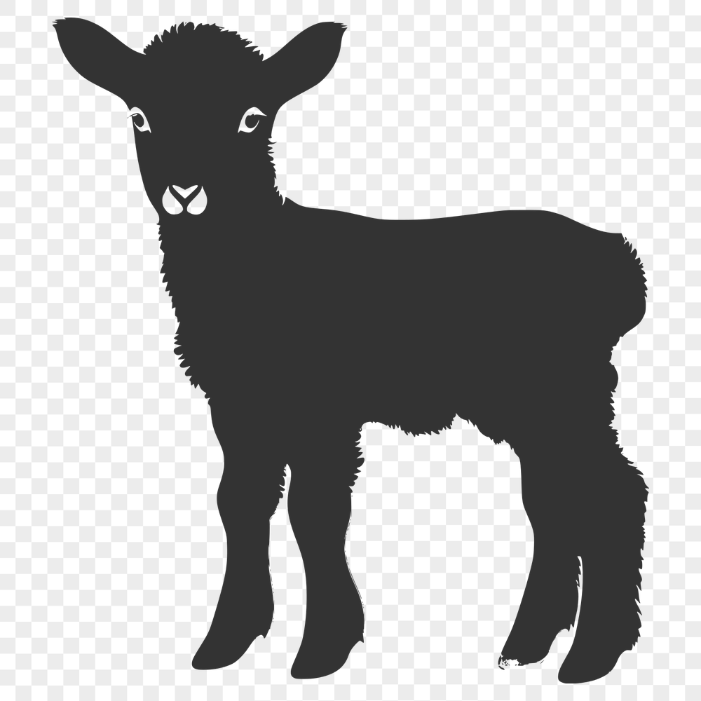 Stunning Lamb SVG