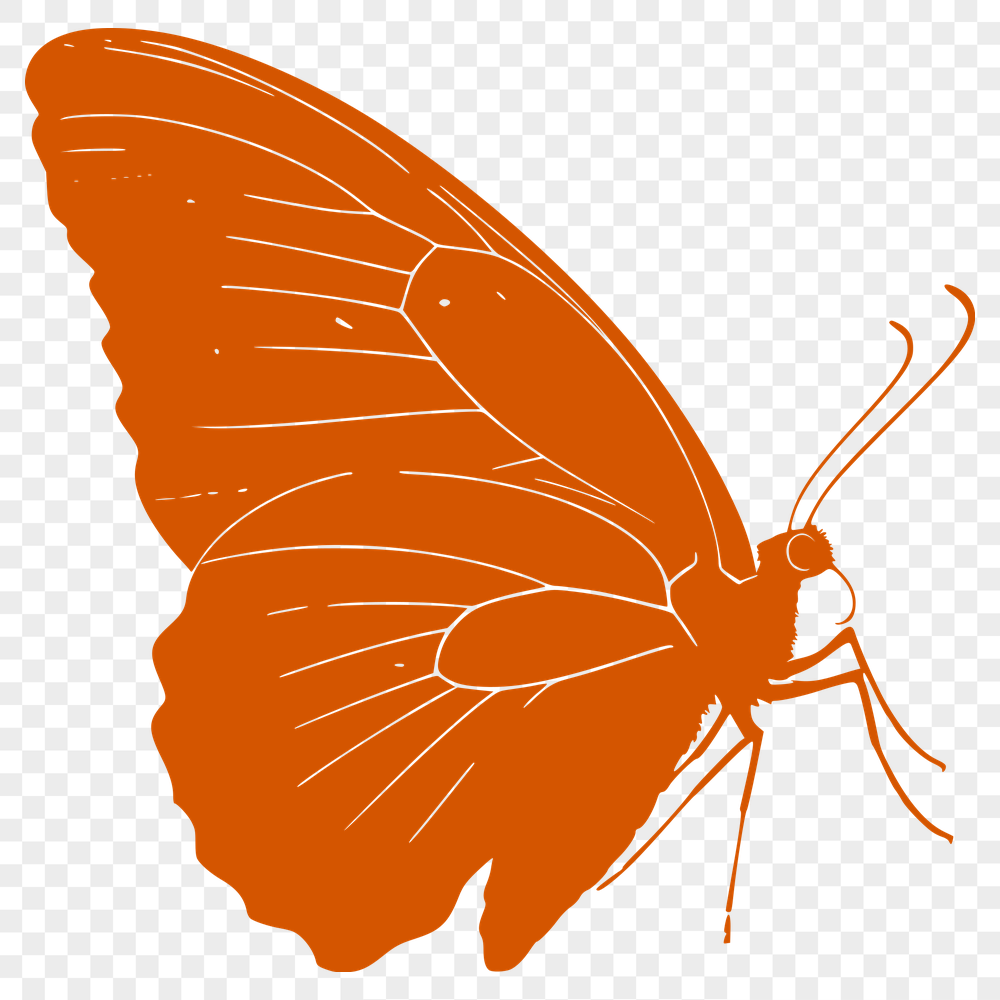 Free Stunning Butterfly Stencil