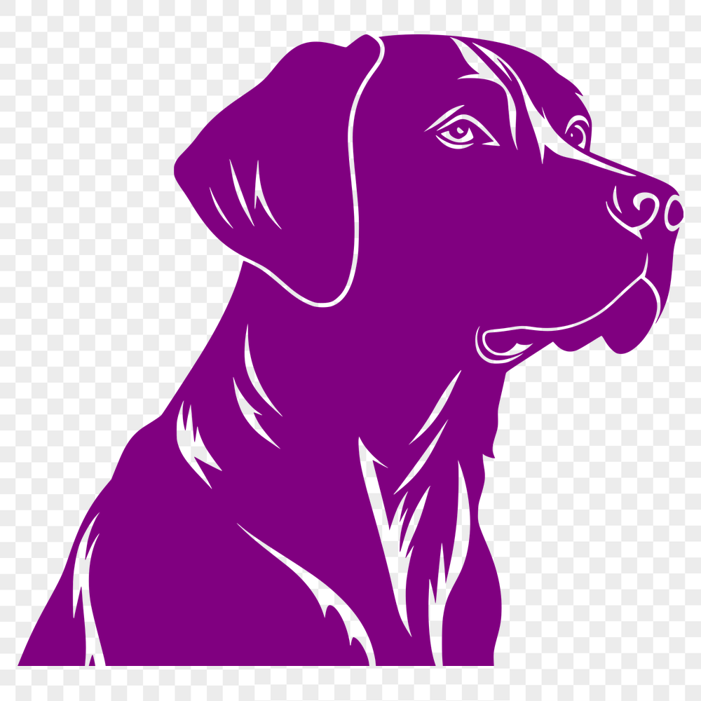 Free Labrador Retriever Vector Drawing