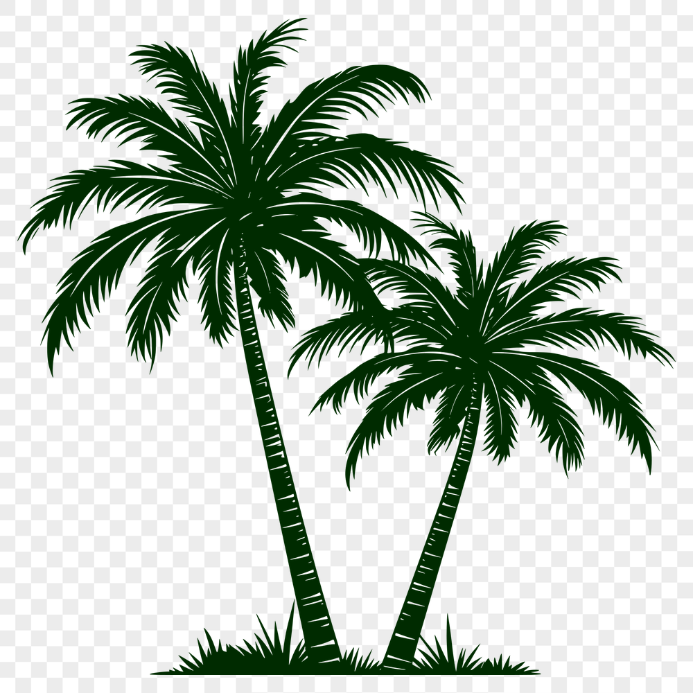 Beautiful Palm Tree Printable Artwork - Free PNG