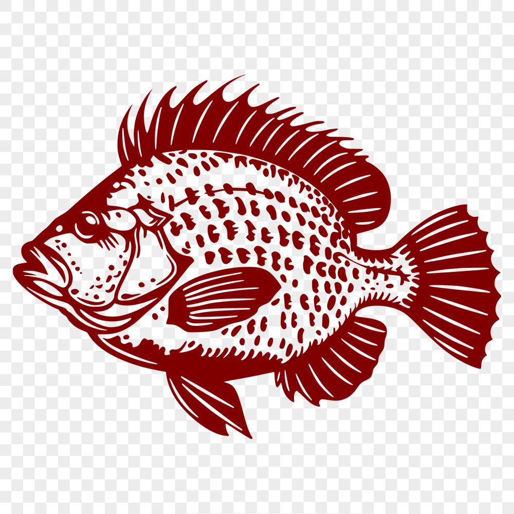 Creative Fish In SVG