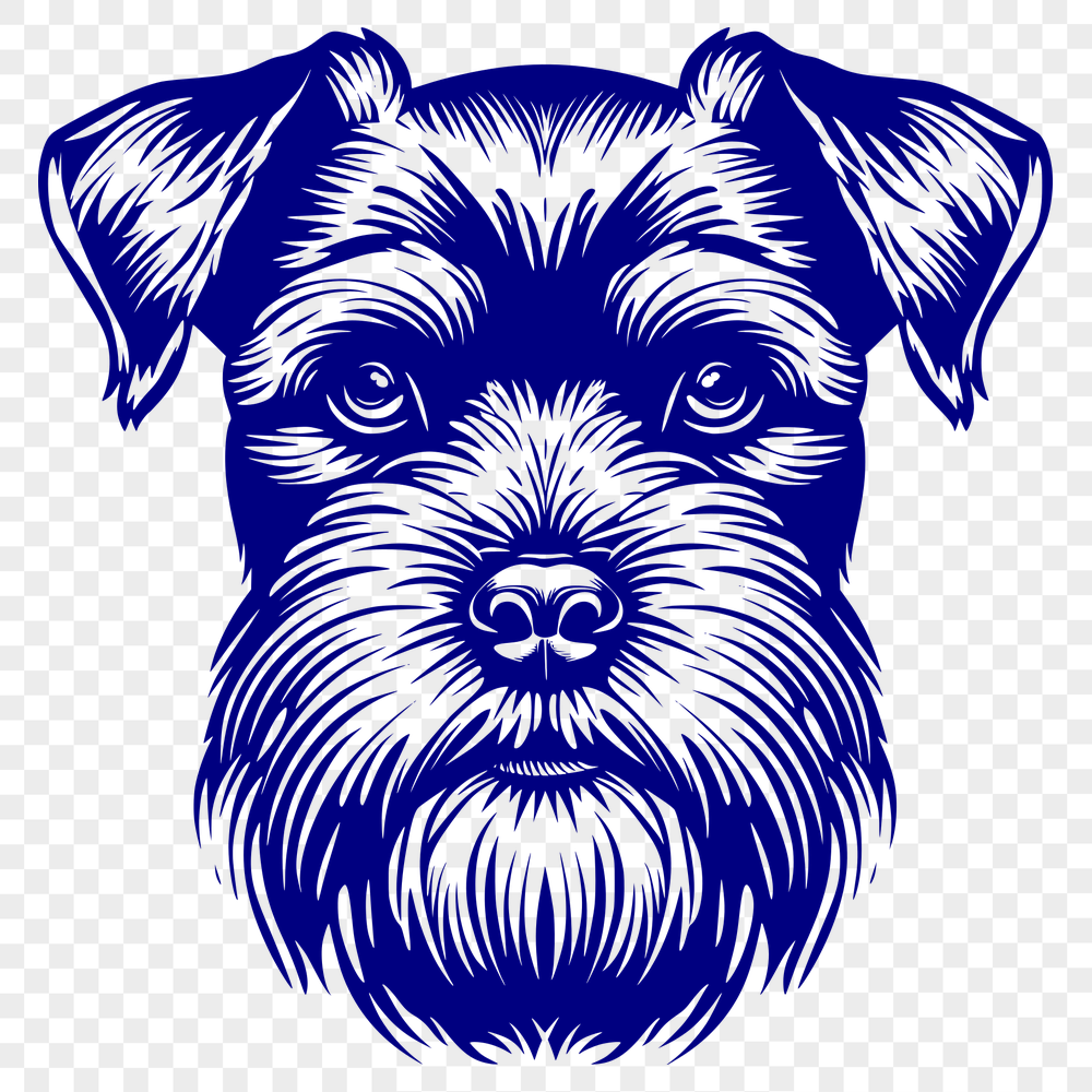 Free Miniature Schnauzer Drawing