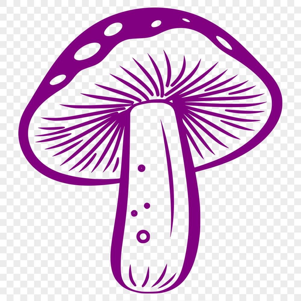 Creative Mushroom - For Laser Cutter Project