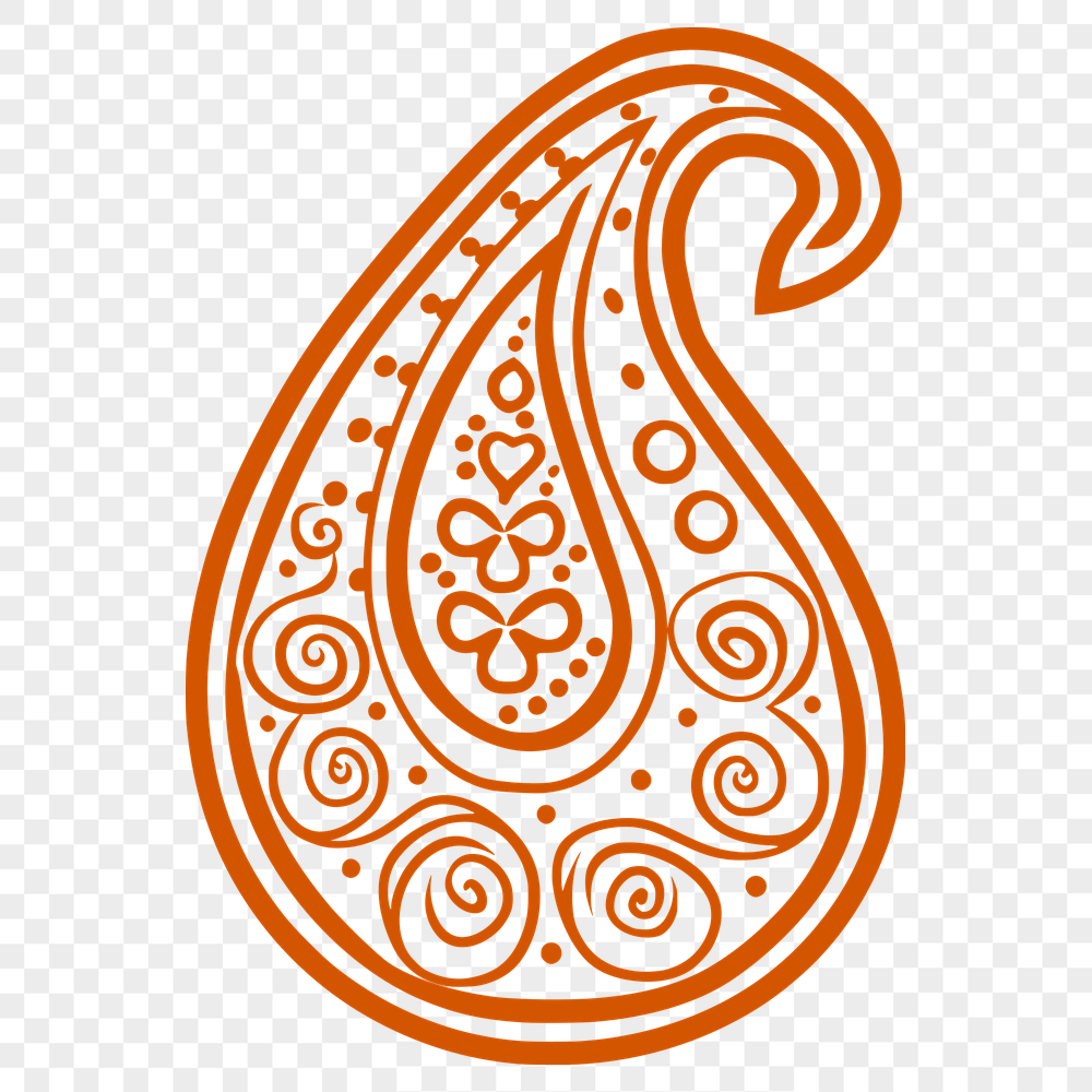 Stunning Paisley Vector Image