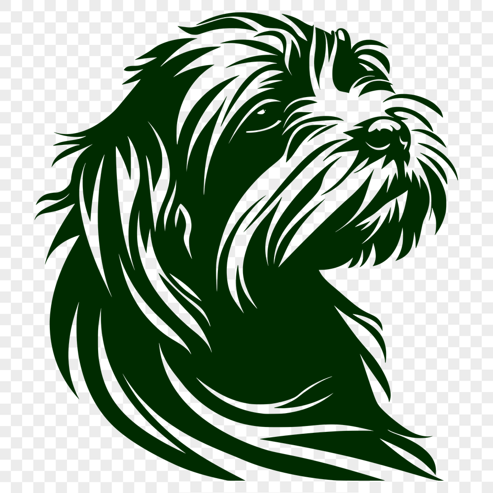 Stunning Havanese Vector Illustration