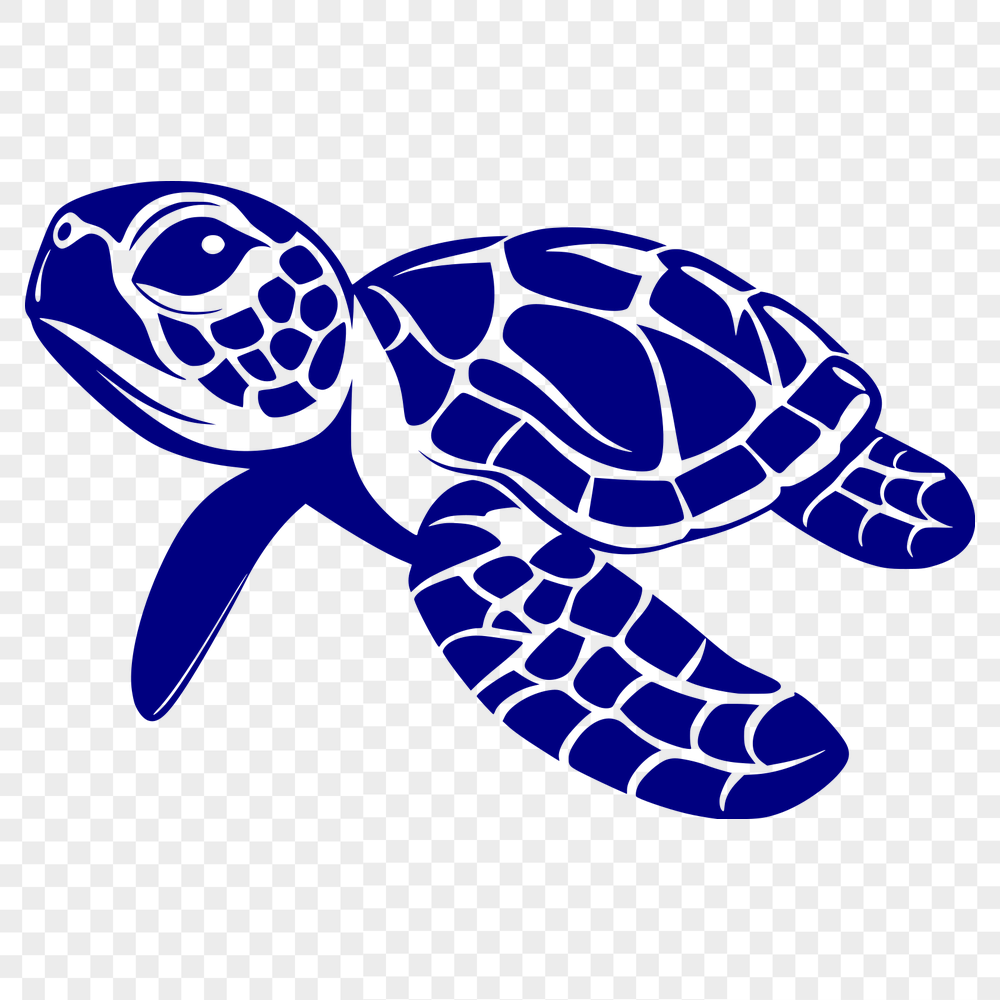 Stunning Sea Turtle - For Laser Project