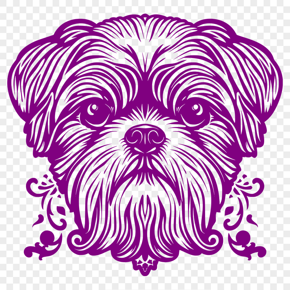 Free Shih Tzu Vector Illustration