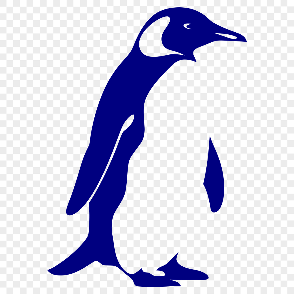 Creative Penguin SVG, PNG, PDF And DXF Files