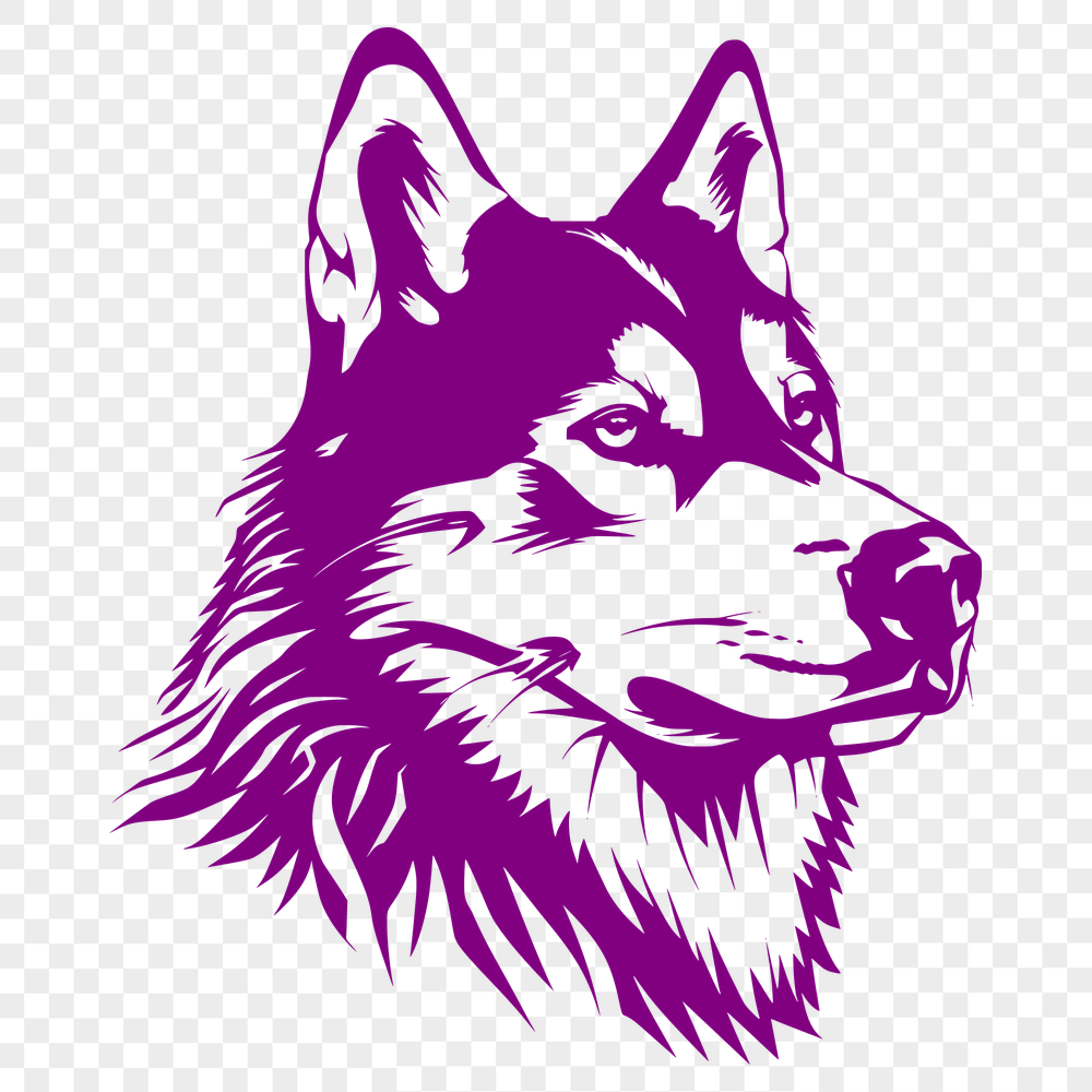 Free Unique Husky Image