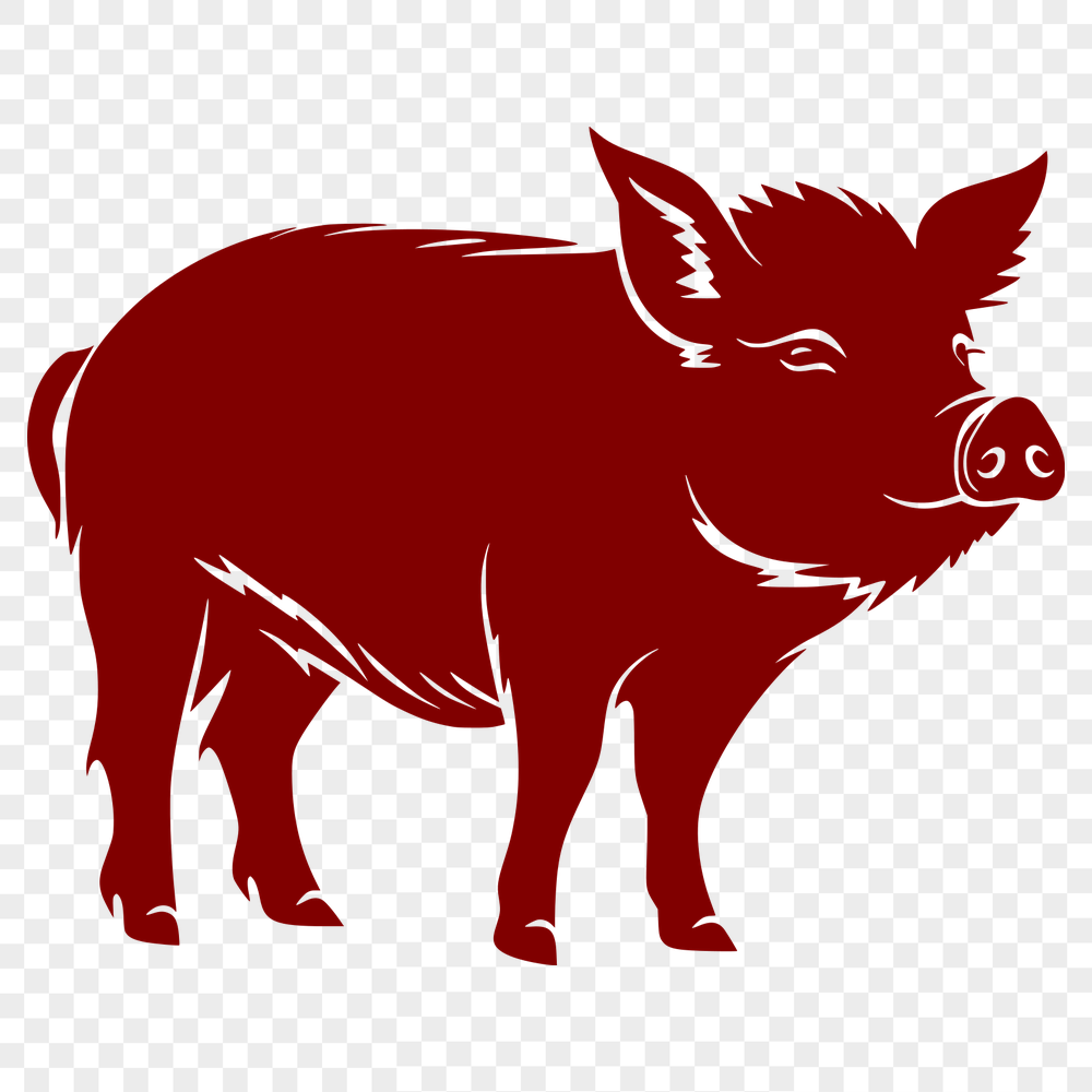 Beautiful Pig Printable Image