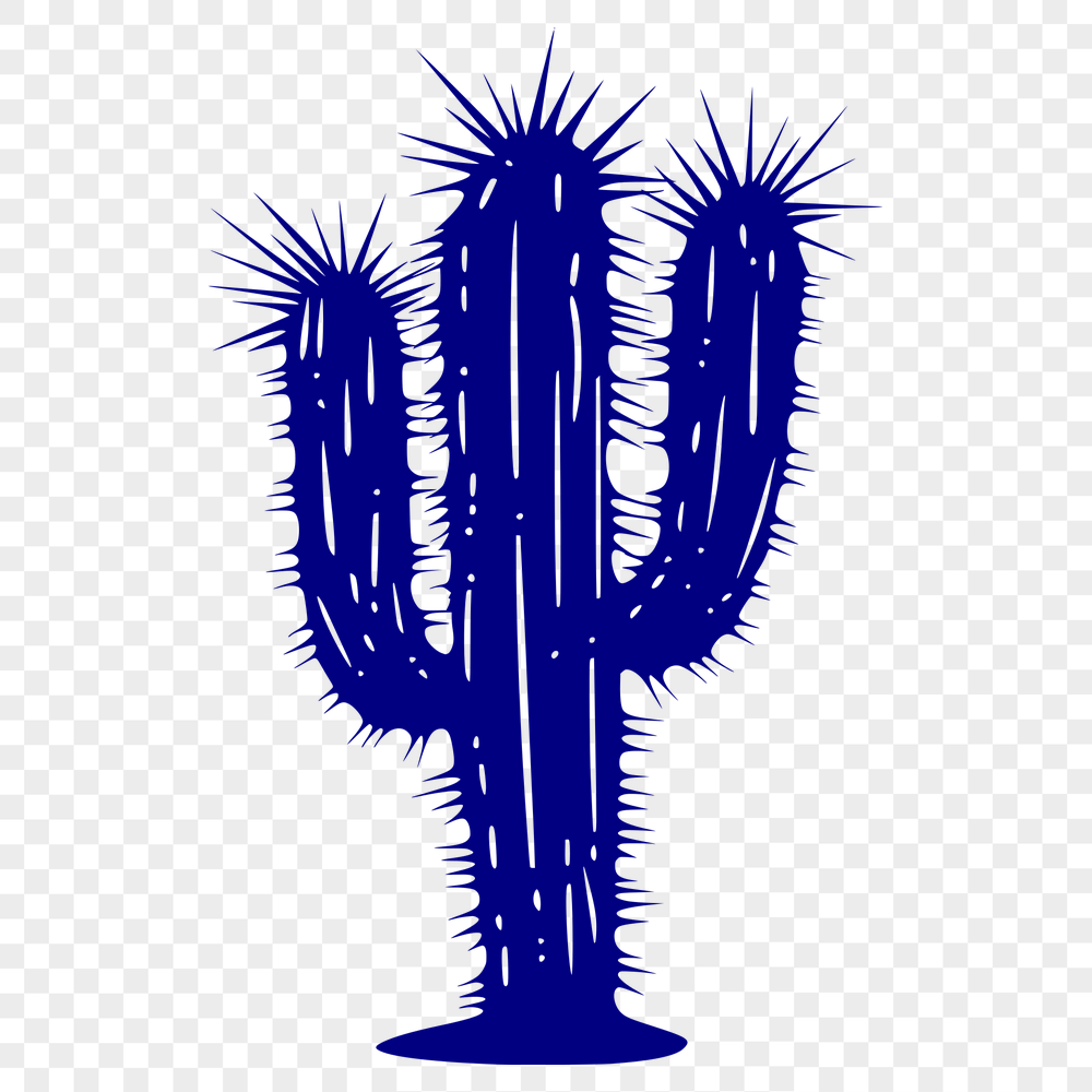 Free Stunning Cactus Drawing