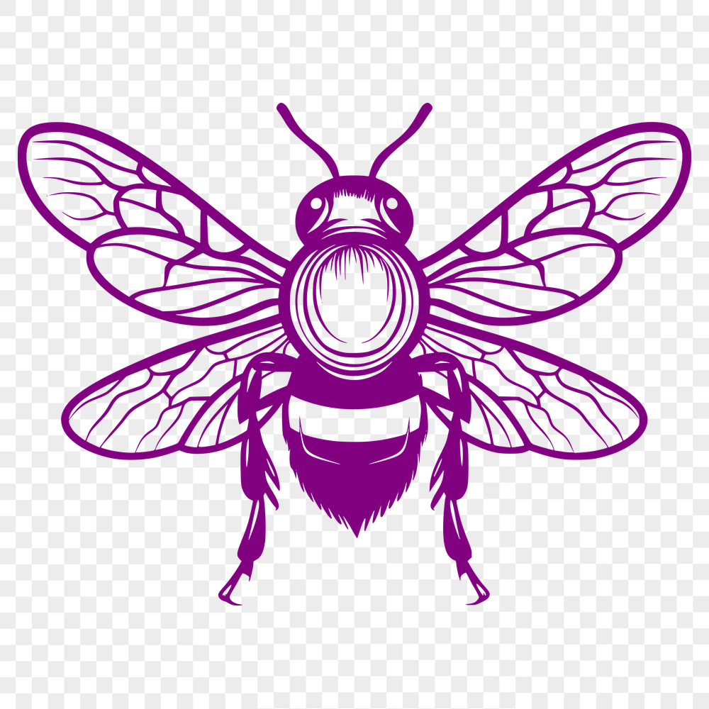 Beautiful Bee PDF