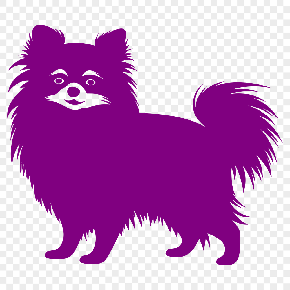 Unique Pomeranian Vector Art