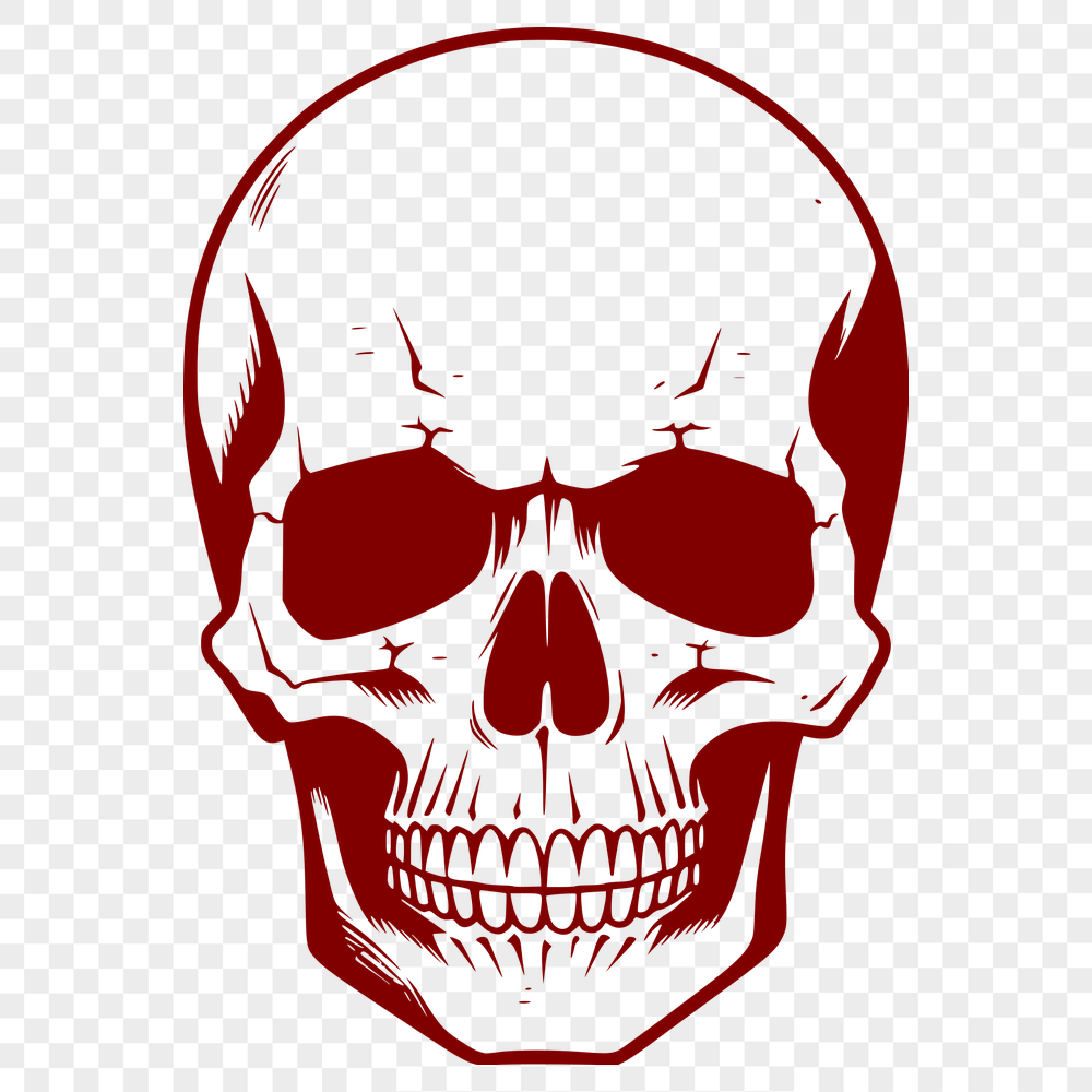 Free Unique Skull Vector Art