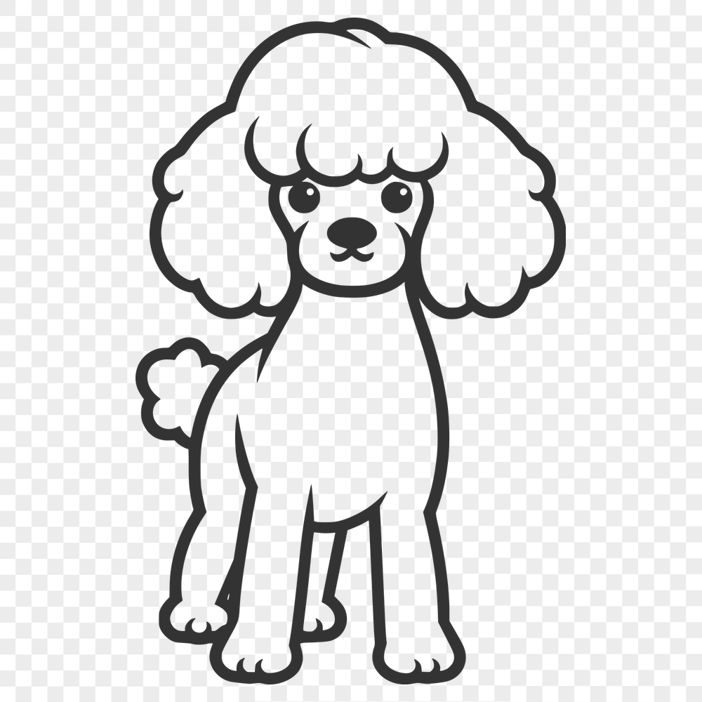 Stunning Poodle Drawing