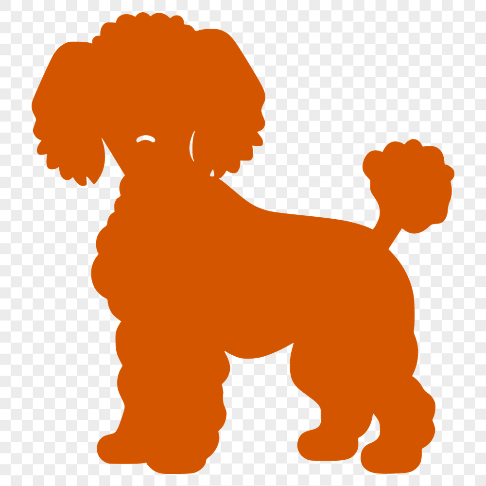 Creative Standing Poodle Vector Craft File