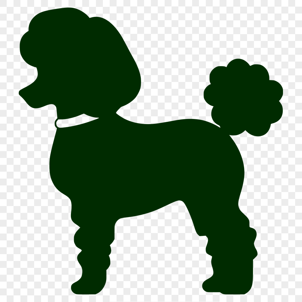 Free Unique Poodle Artwork