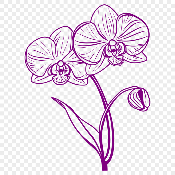 An illustration of a vibrant orchid flower with intricate details, suitable for vector design and cutting machine projects.