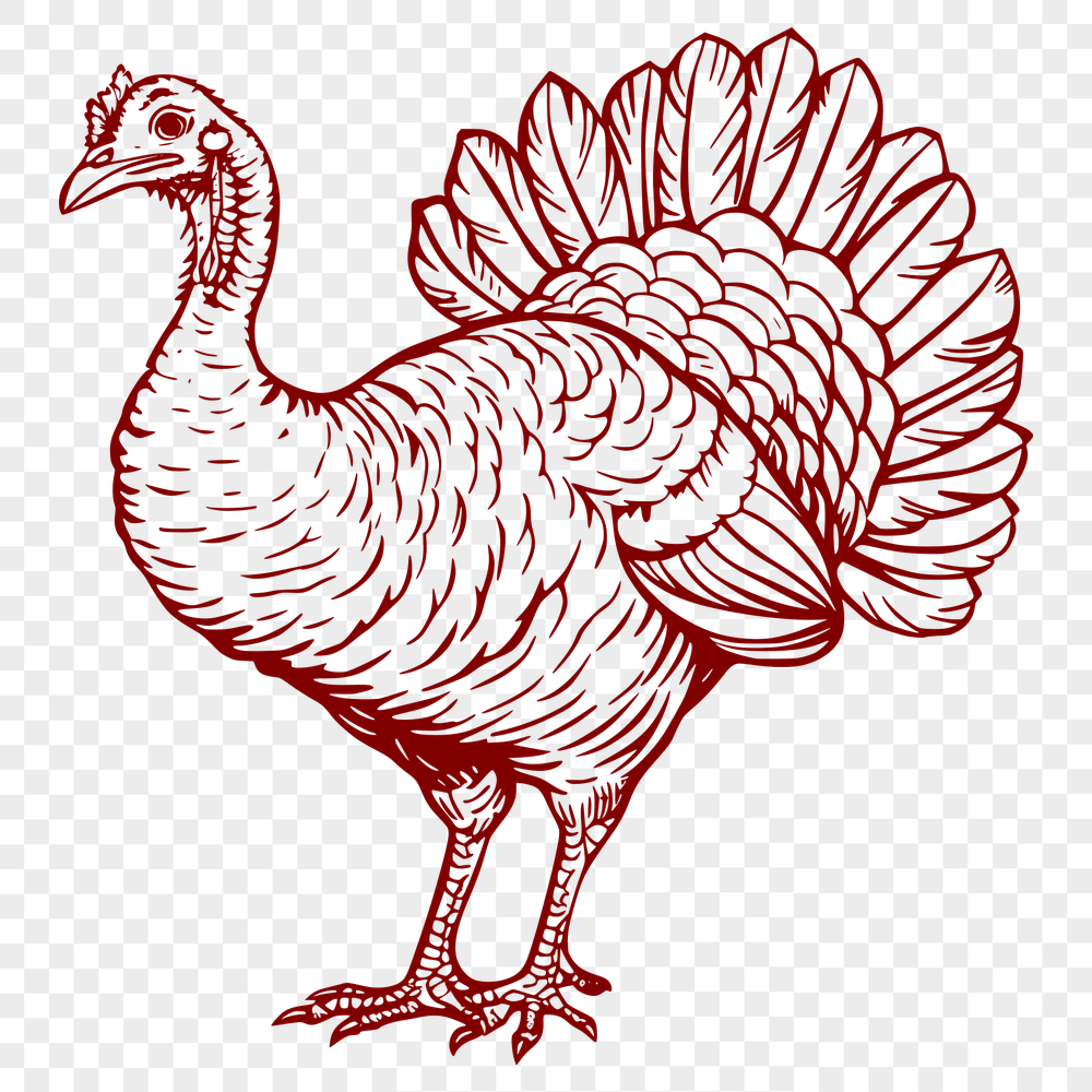 Free Free Turkey Image