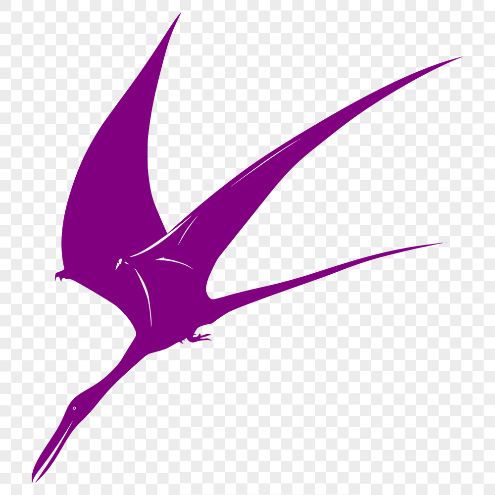 Creative Pteranodon Digital Art