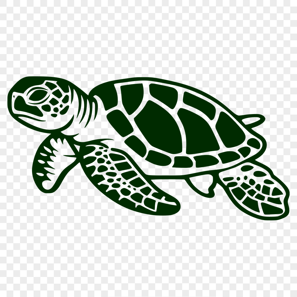 Artistic Sea Turtle Vector Drawing