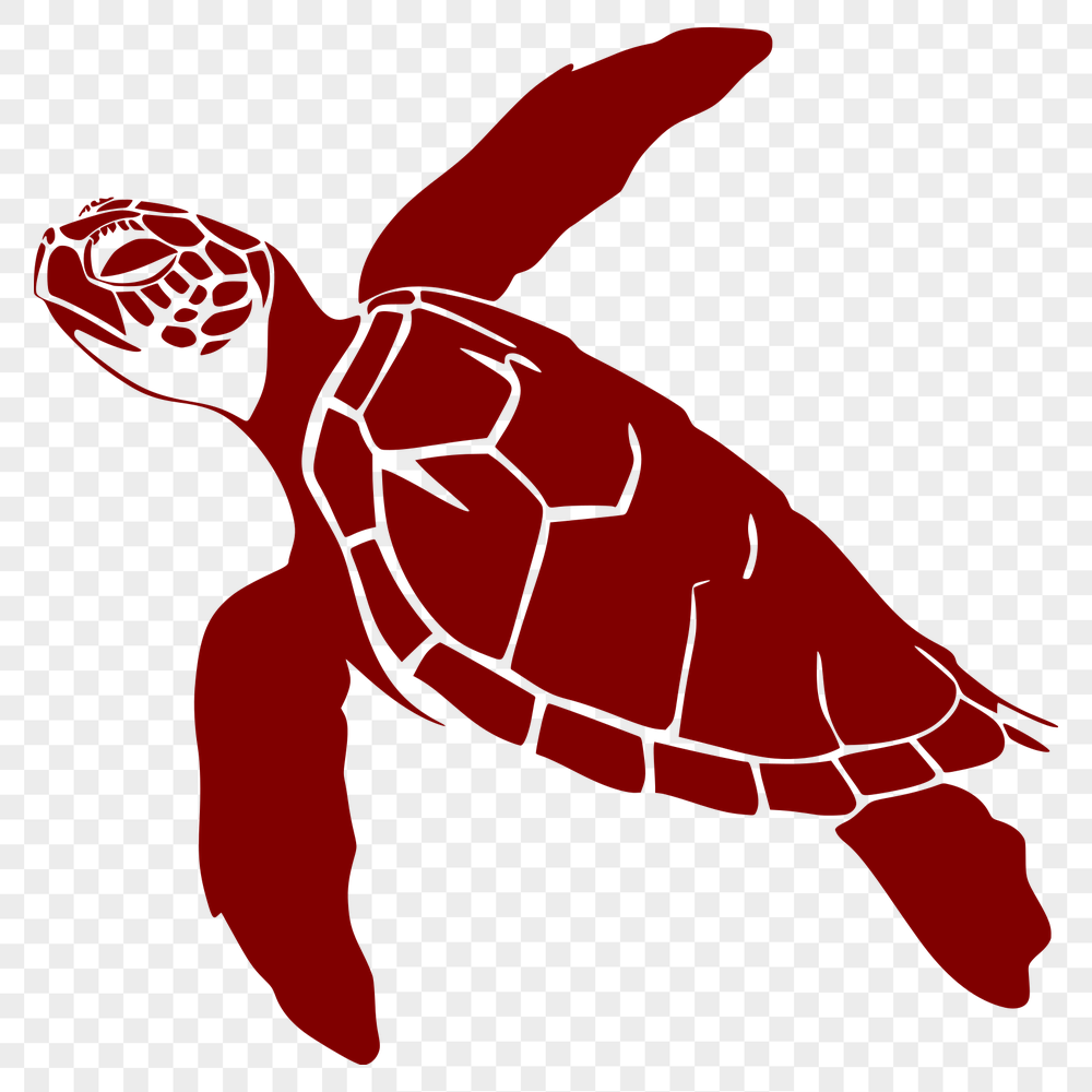 Creative Sea Turtle Vector Craft File