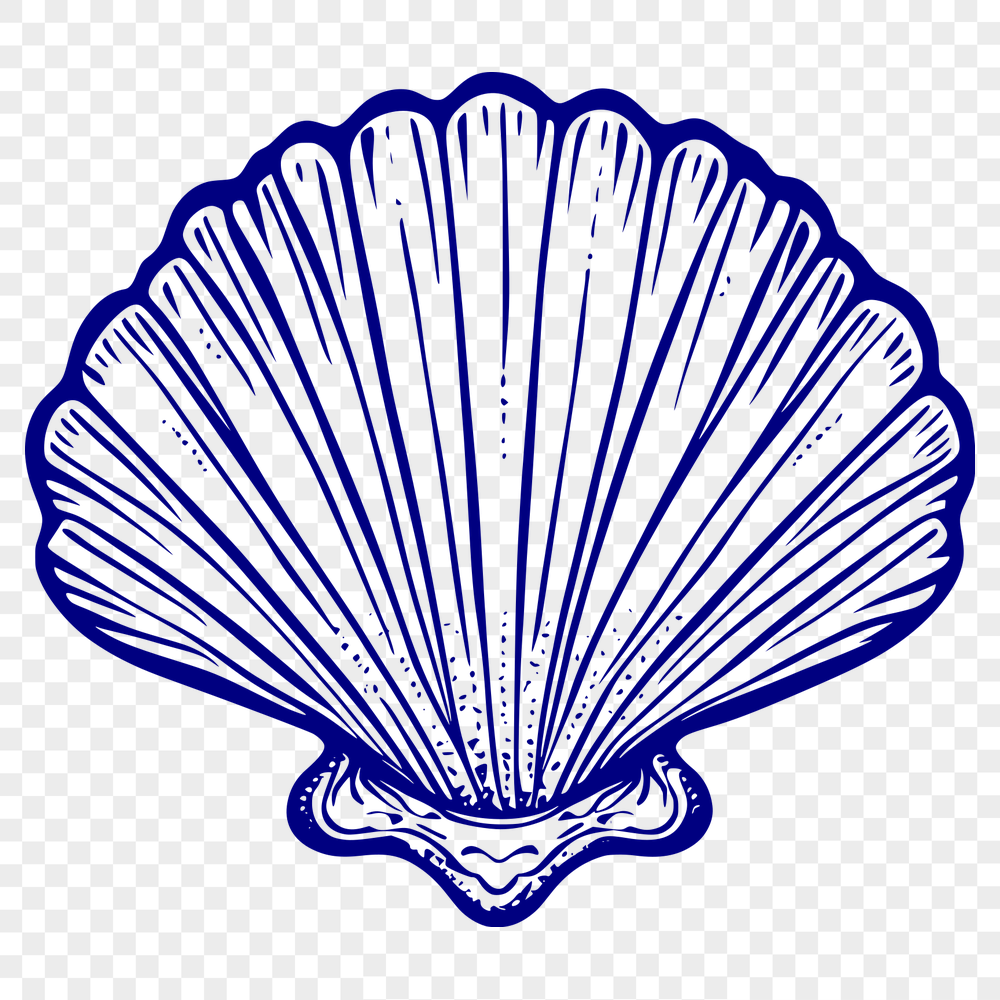 Seashell Template In SVG, PNG, PDF And DXF File Formats