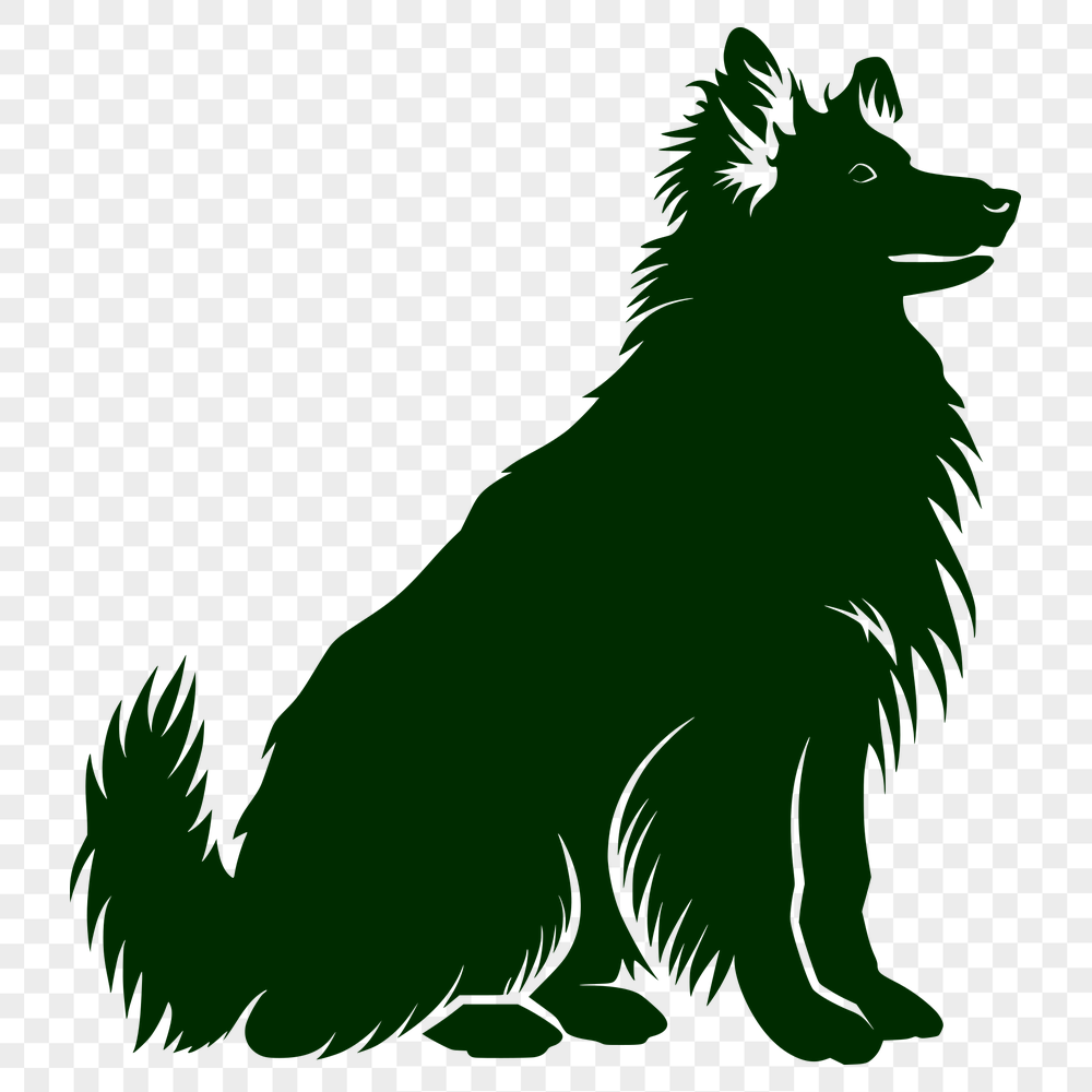 Stunning Shetland Sheepdog Template